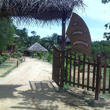 Eco Cabanas Marakolliya 坦加拉 外观 照片
