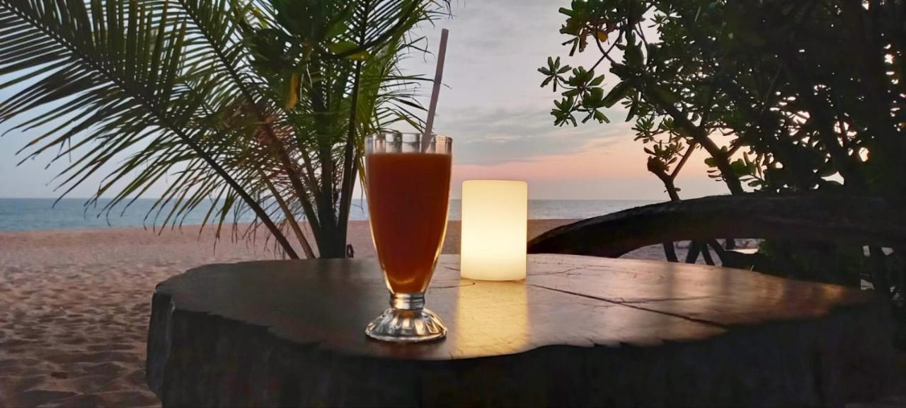 Eco Cabanas Marakolliya 坦加拉 外观 照片