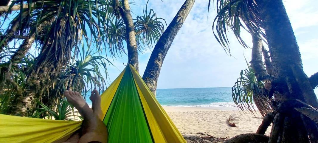 Eco Cabanas Marakolliya 坦加拉 外观 照片