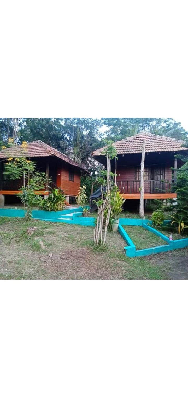 Eco Cabanas Marakolliya 坦加拉 外观 照片