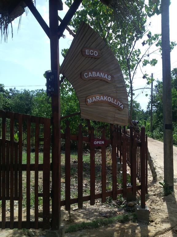 Eco Cabanas Marakolliya 坦加拉 外观 照片